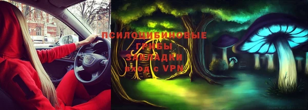 прущие крисы Алексеевка