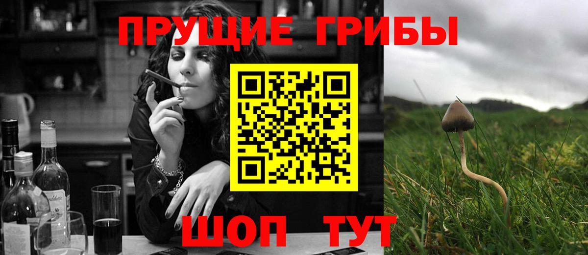 Галлюциногенные грибы Psilocybine cubensis Выкса